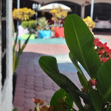 Casa D' Los Rios Calvillo Dış mekan fotoğraf